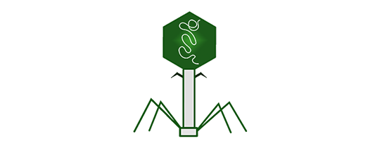 bacteriophage-news.png